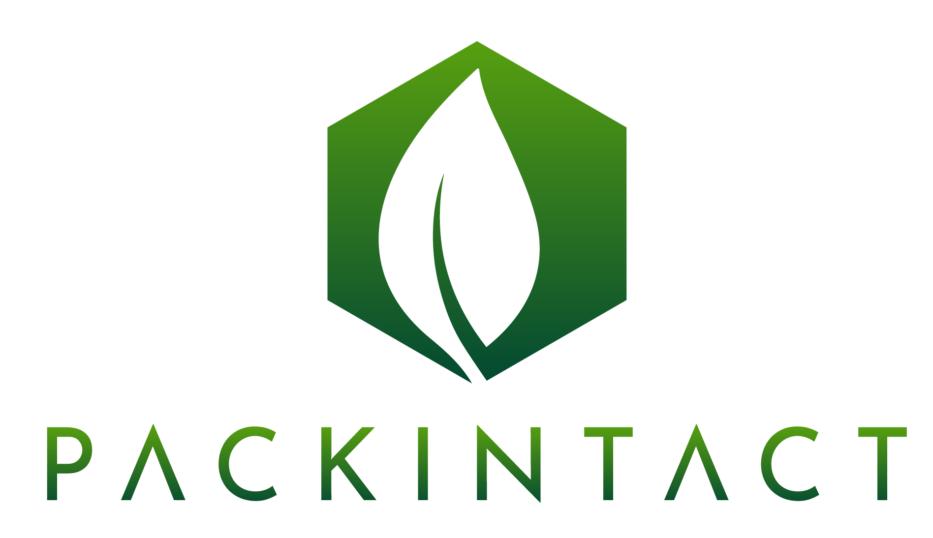 Packintact Logo